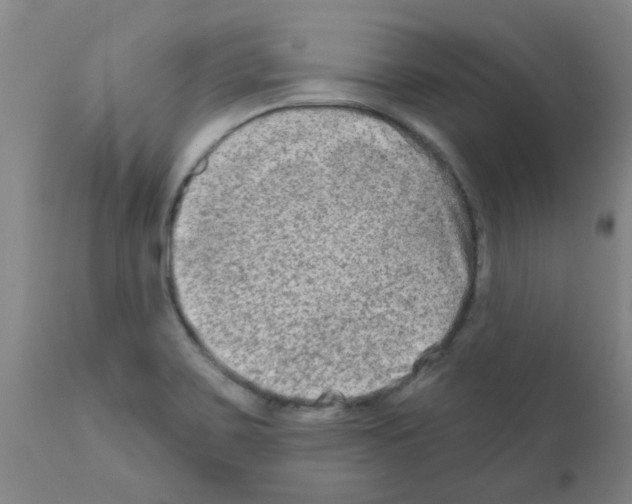 X0000111791467200909031145