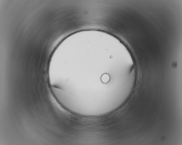 X0000111791468200909031145