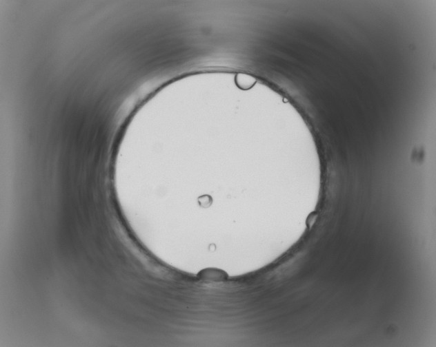 X0000111791469200909031145