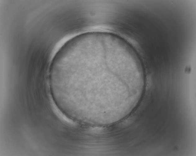 X0000111791470200909031145