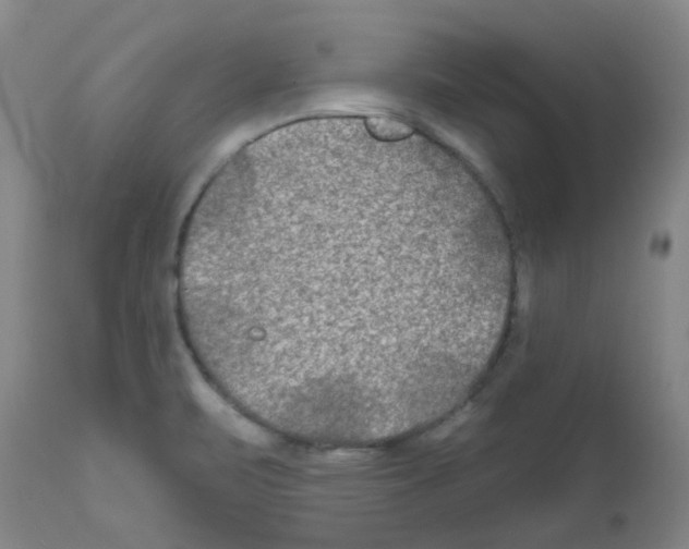 X0000111791471200909031145