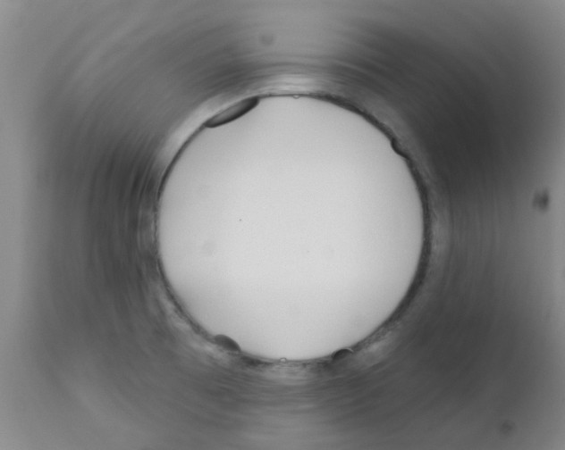 X0000111791473200909031145