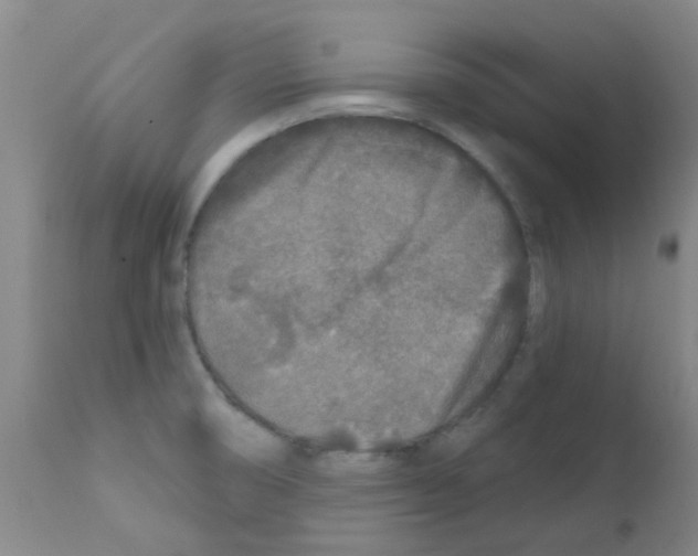 X0000111791474200909031145