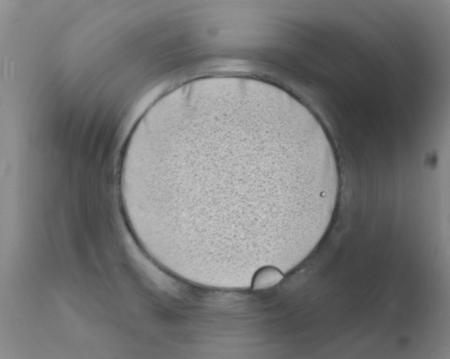 X0000111791475200909031145