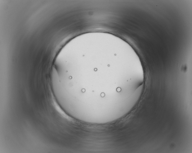 X0000111791476200909031145