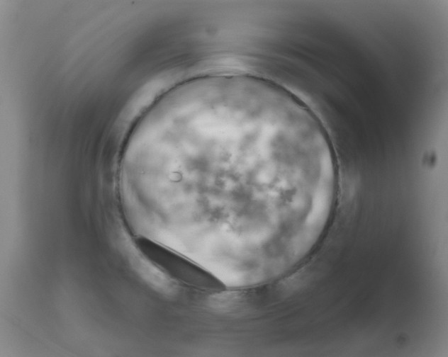 X0000111791477200909031145