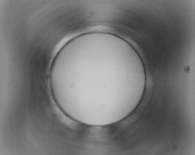 X0000111791478200909031145