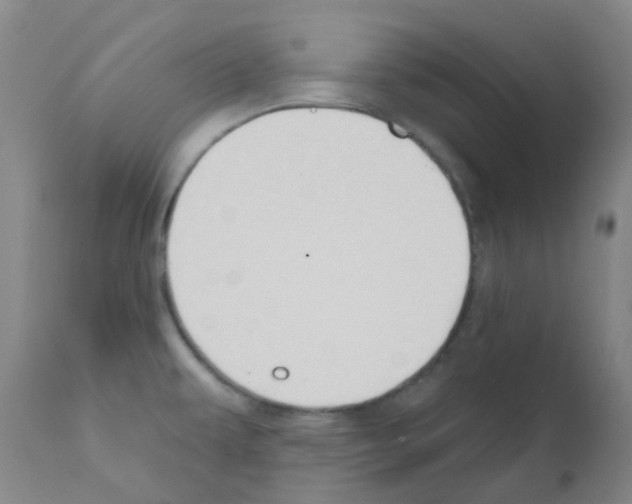 X0000111791479200909031145