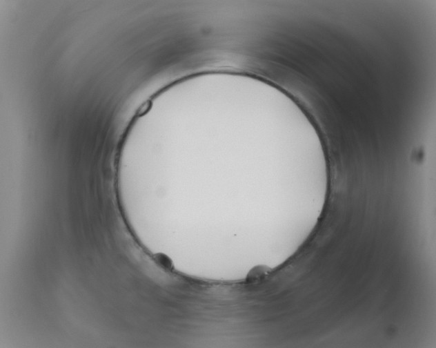 X0000111791480200909031145