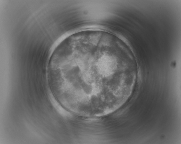 X0000111791482200909031145