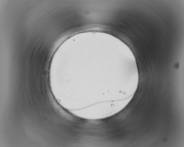 X0000111791483200909031145