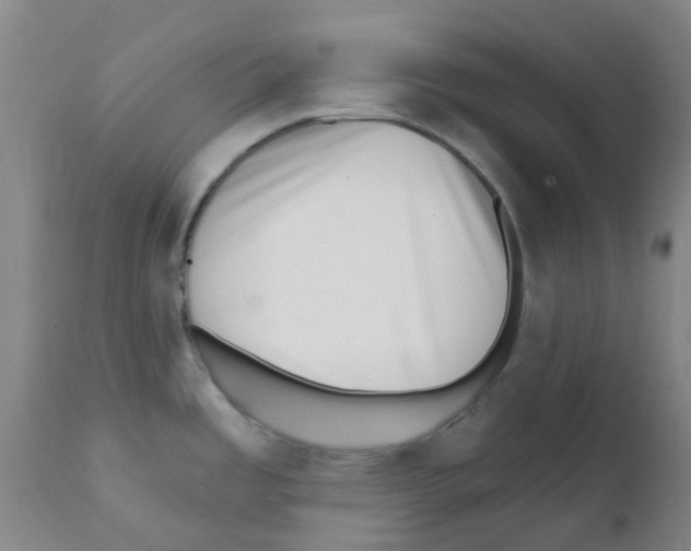 X0000111791485200909031145