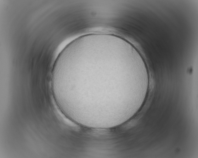 X0000111791486200909031145