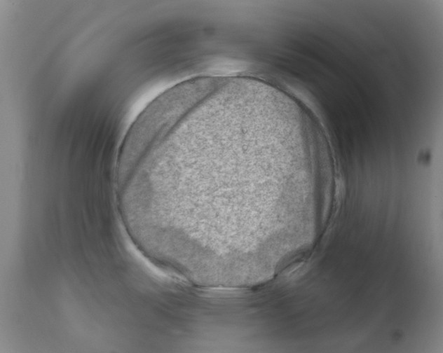 X0000111791487200909031145