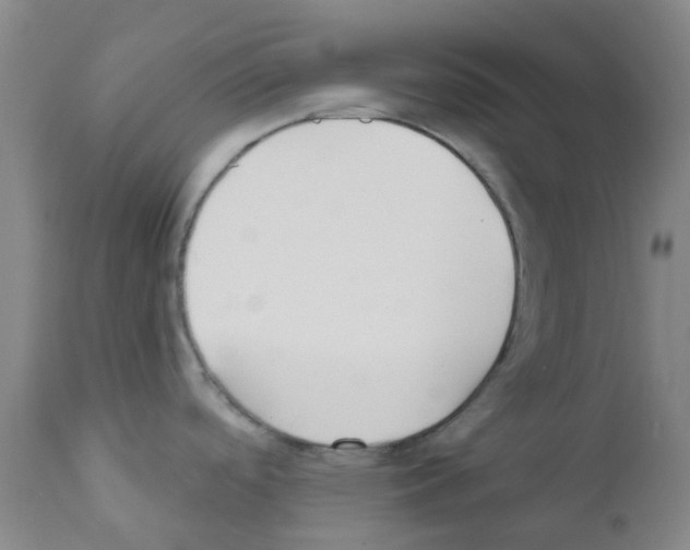 X0000111791488200909031145