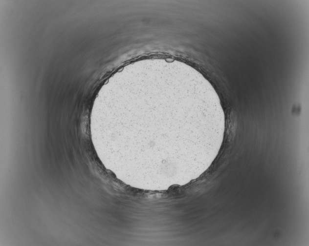 X0000111791490200909031144