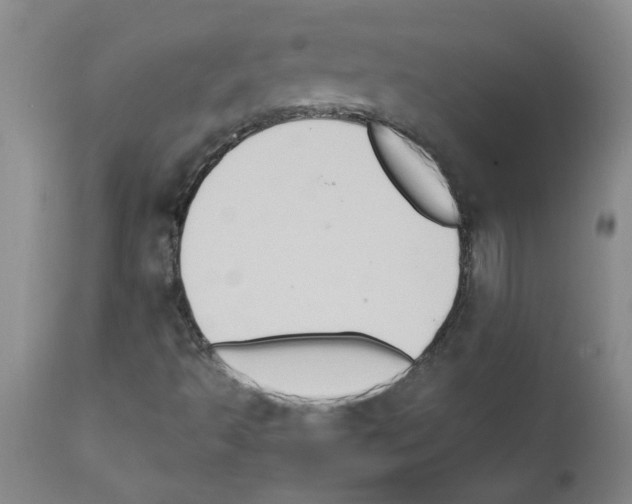 X0000111791493200909031144