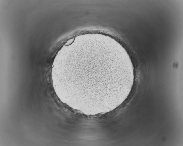 X0000111791494200909031144