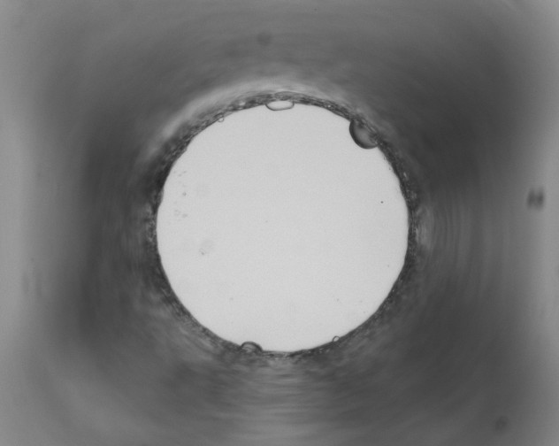 X0000111791495200909031144