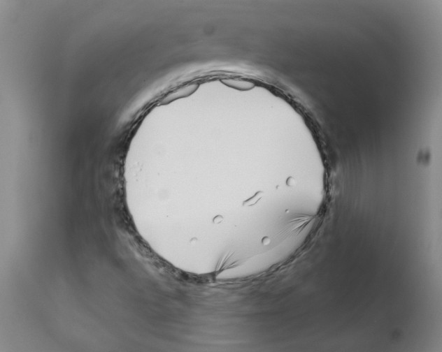 X0000111791496200909031144