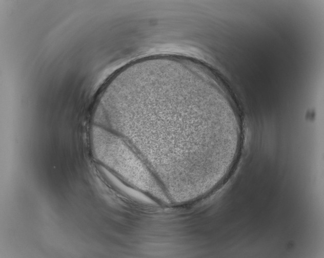 X0000111791497200909031144