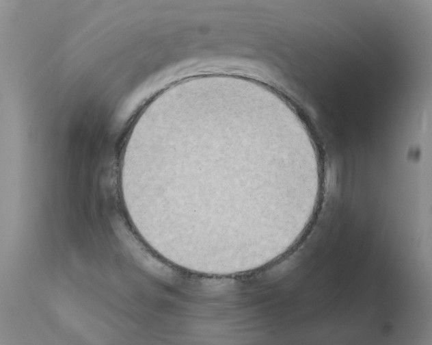 X0000111791498200909031144