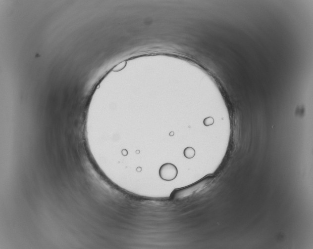 X0000111791500200909031144