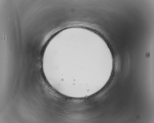 X0000111791501200909031144