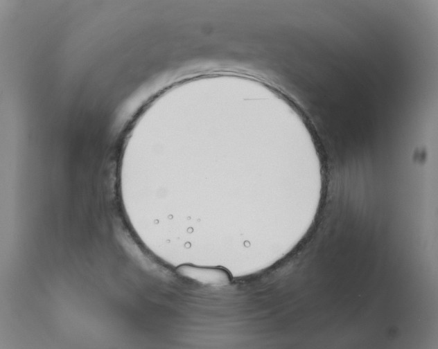 X0000111791503200909031144