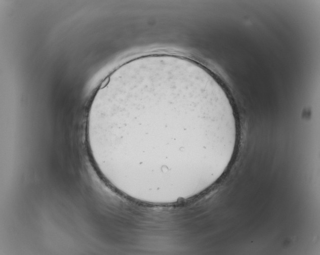 X0000111791504200909031144