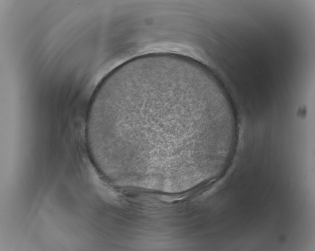 X0000111791505200909031144