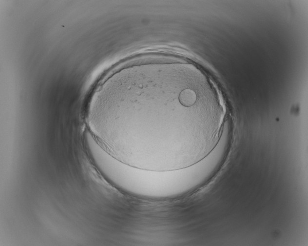 X0000111791506200909031144