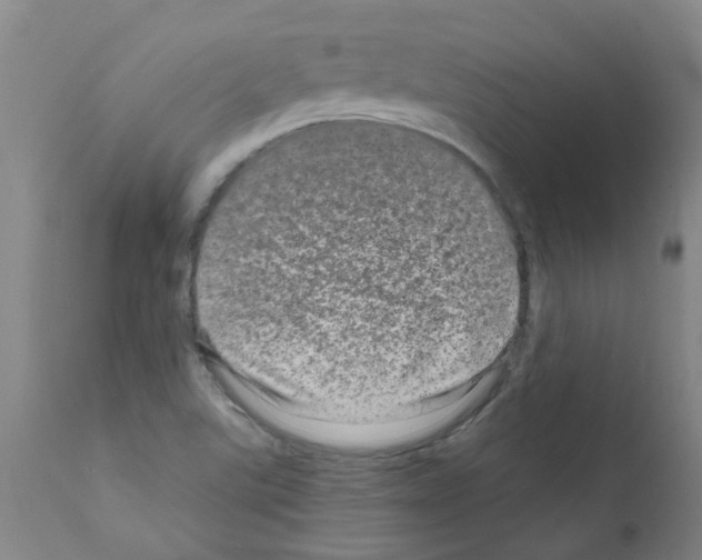 X0000111791507200909031144