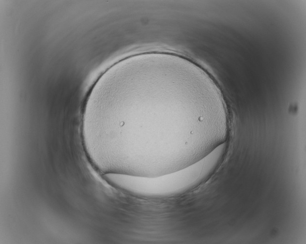 X0000111791508200909031144