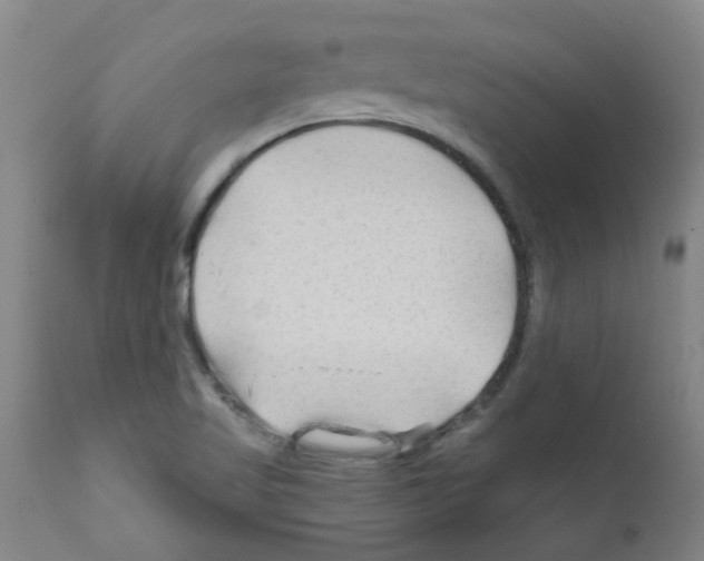 X0000111791509200909031144