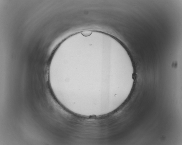 X0000111791510200909031144