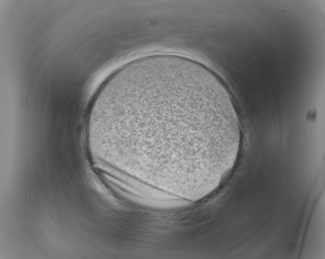 X0000111791511200909031144