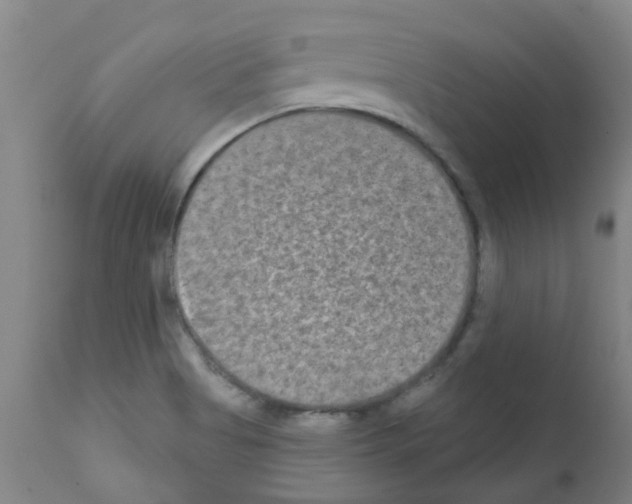 X0000111791513200909031145