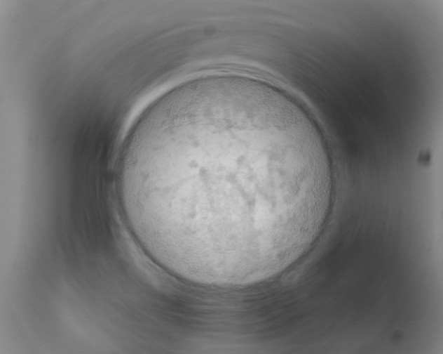 X0000111791514200909031145