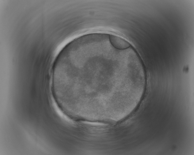 X0000111791515200909031145