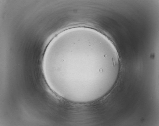 X0000111791516200909031145