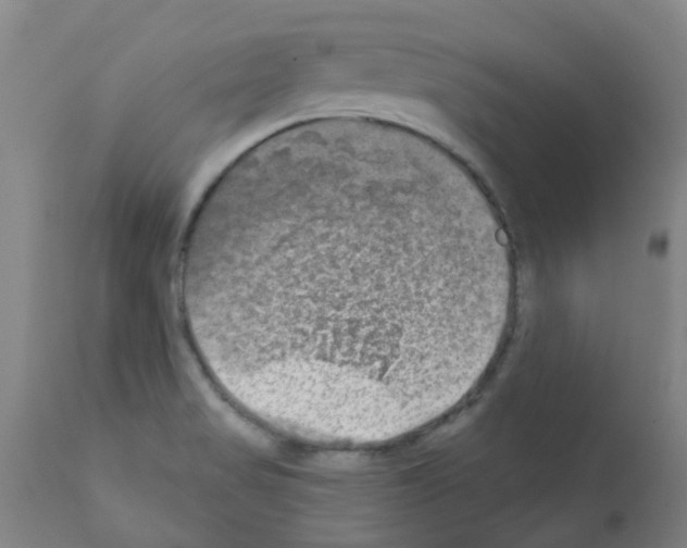 X0000111791517200909031145