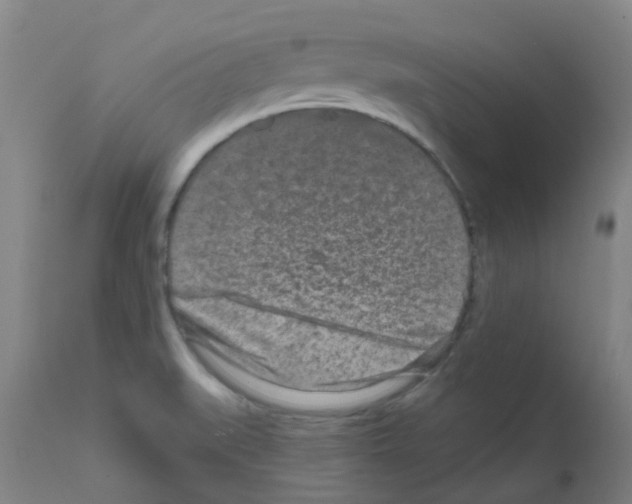 X0000111791519200909031145