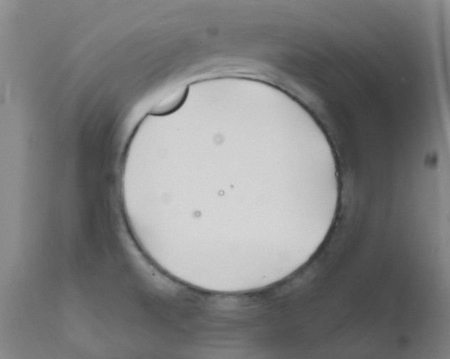 X0000111791520200909031145