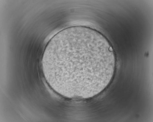 X0000111791521200909031145