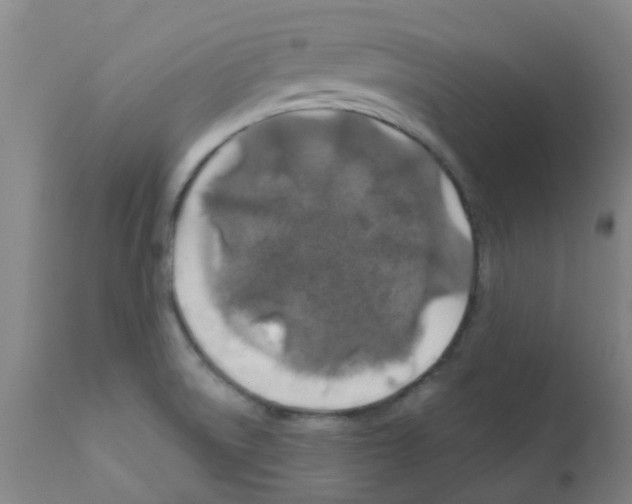 X0000111791522200909031145