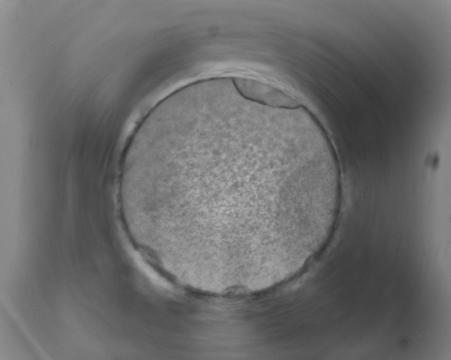 X0000111791525200909031145