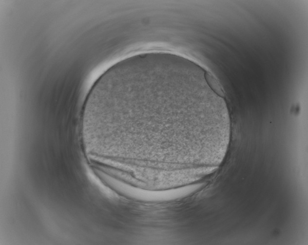 X0000111791527200909031145