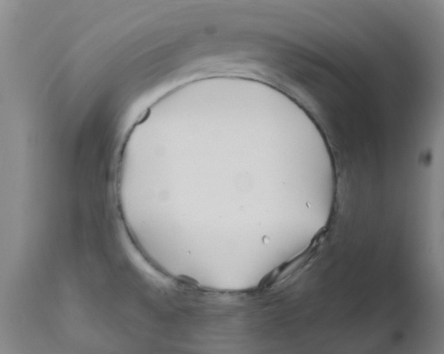 X0000111791528200909031145