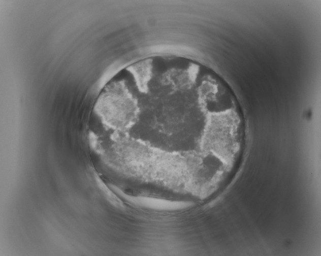 X0000111791529200909031145